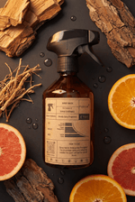 Windy Musk - Home Interior